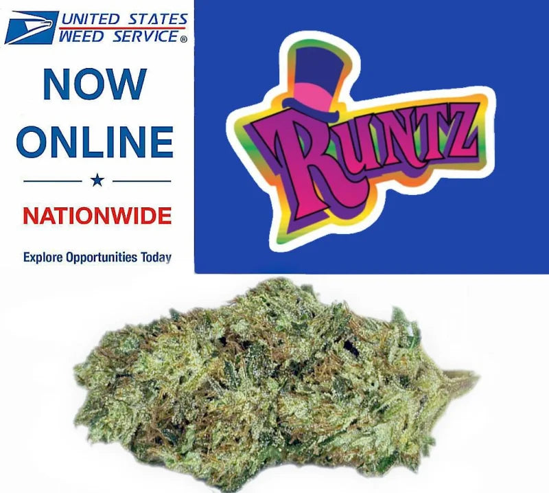 $60 Half Ounces * Flower * - Runtz - Indoor FRESH! NEW!  14g