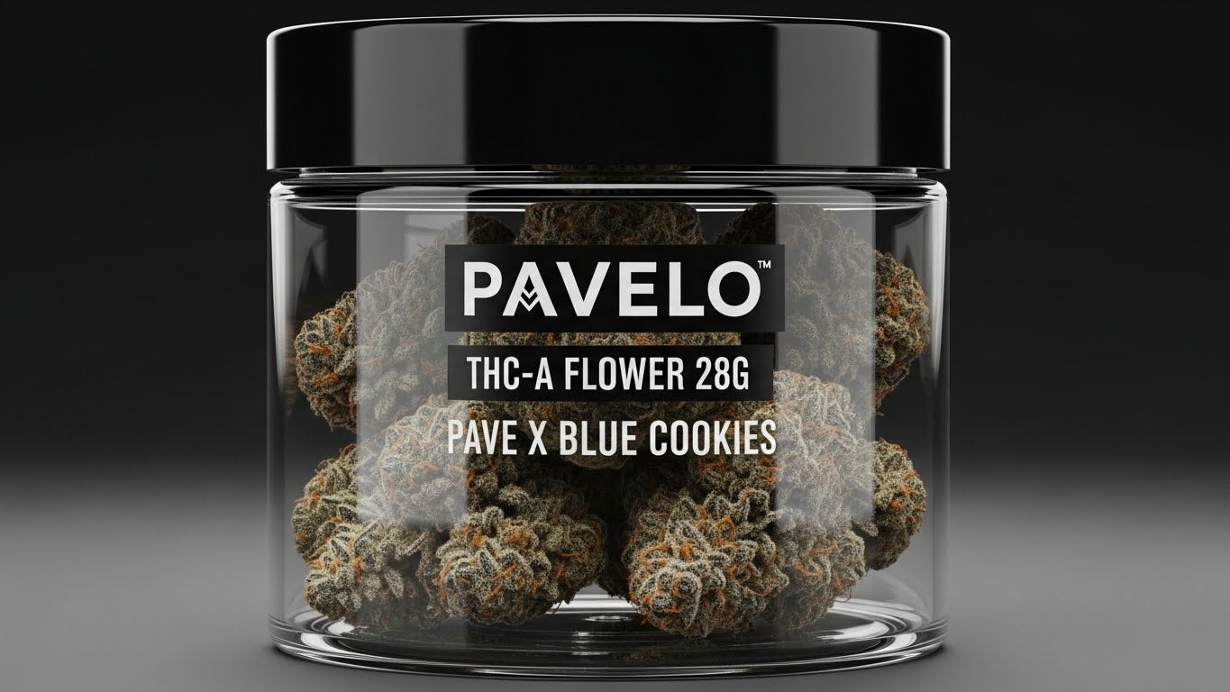 PAVELO PAVE X BLUE COOKIES