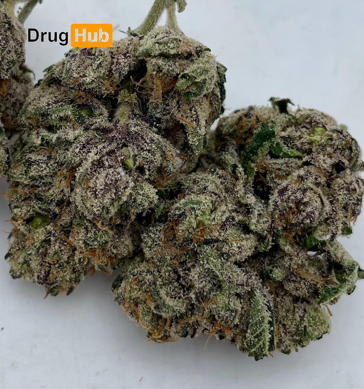 ROCKET GELATO!!! - LICENSED EXOTIC!!! - SUPER HIGH TIER!! - 28g