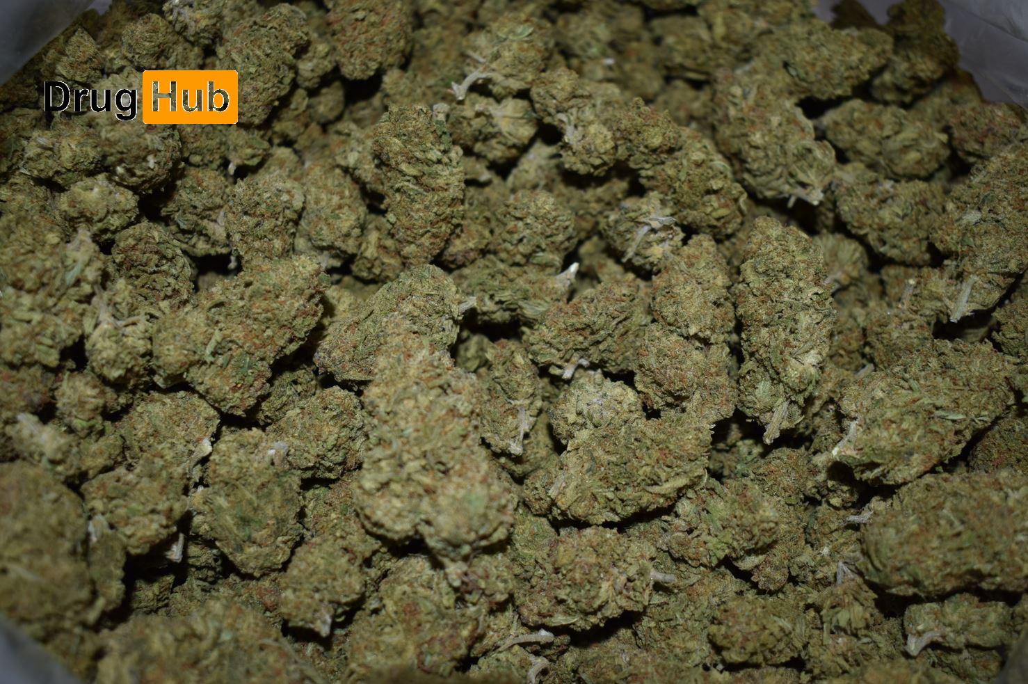 $495 1 Pound Cannabis DEAL Super Sour Diesel