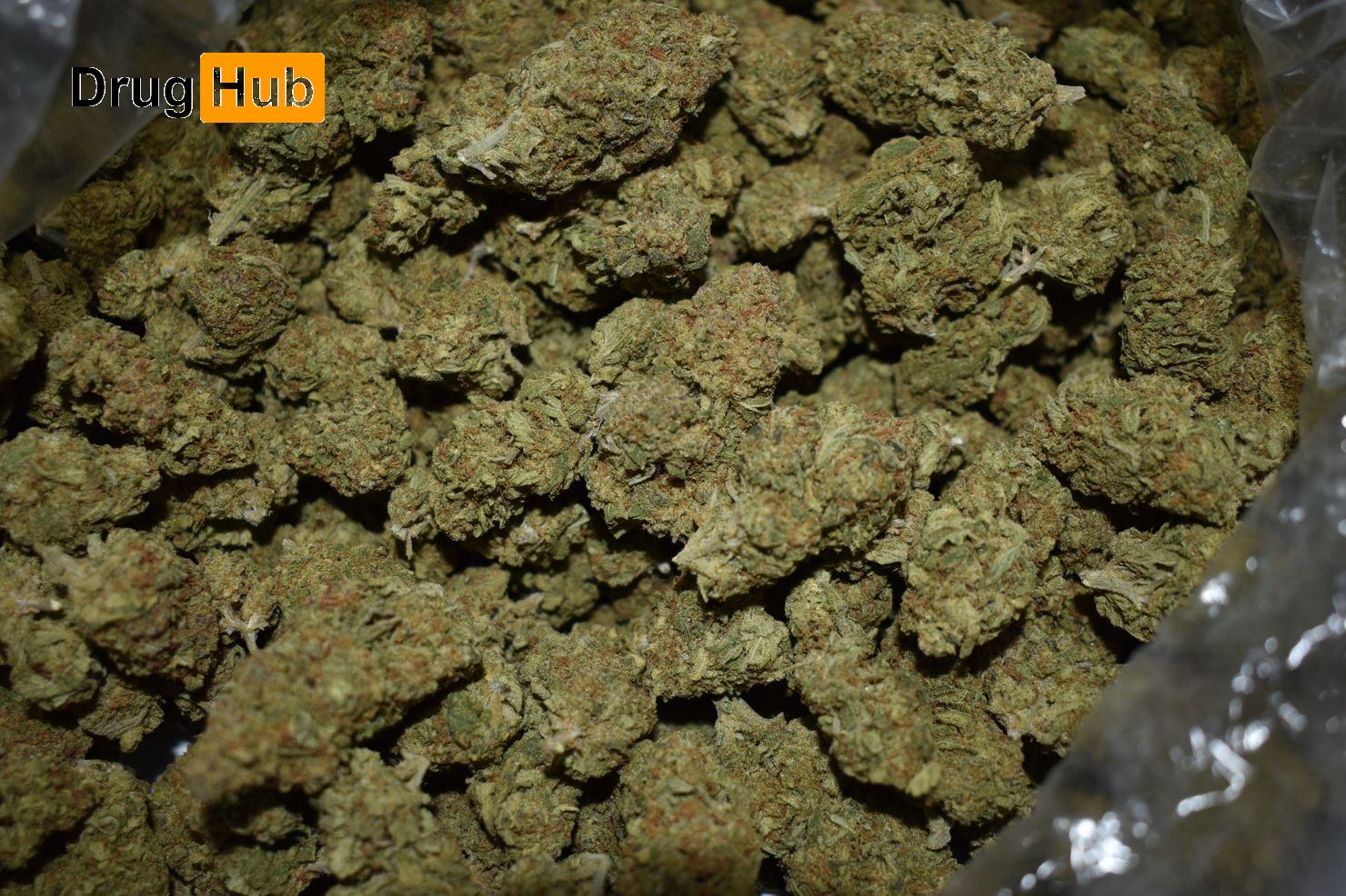 $495 1 Pound Cannabis DEAL Gary Payton