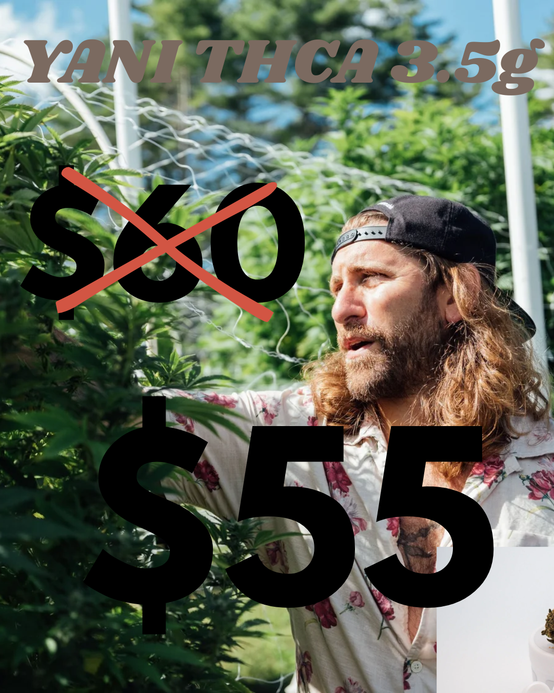 Yani CBD 3.5g Flower