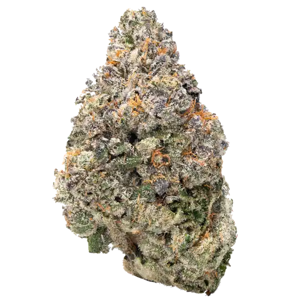 Lil Baby Jealousy THC-A 3.5g