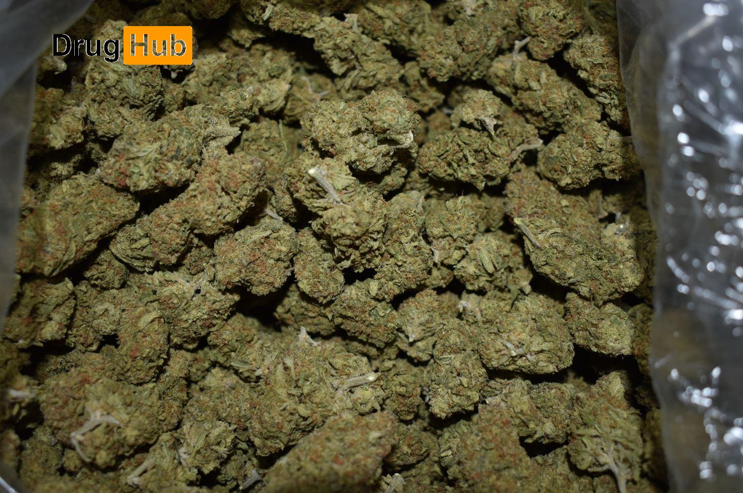 1 Pound White Rhino - 448g