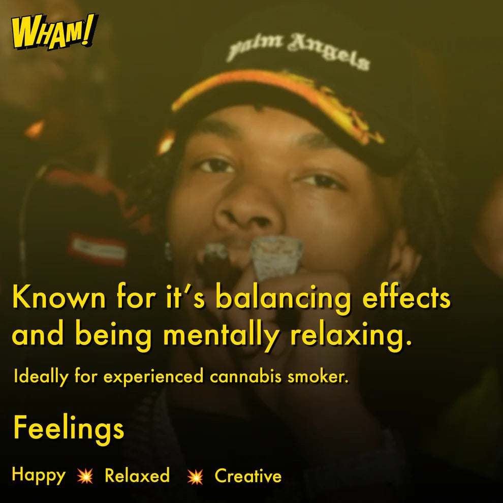 Lil Baby Jealousy THC-A 3.5g