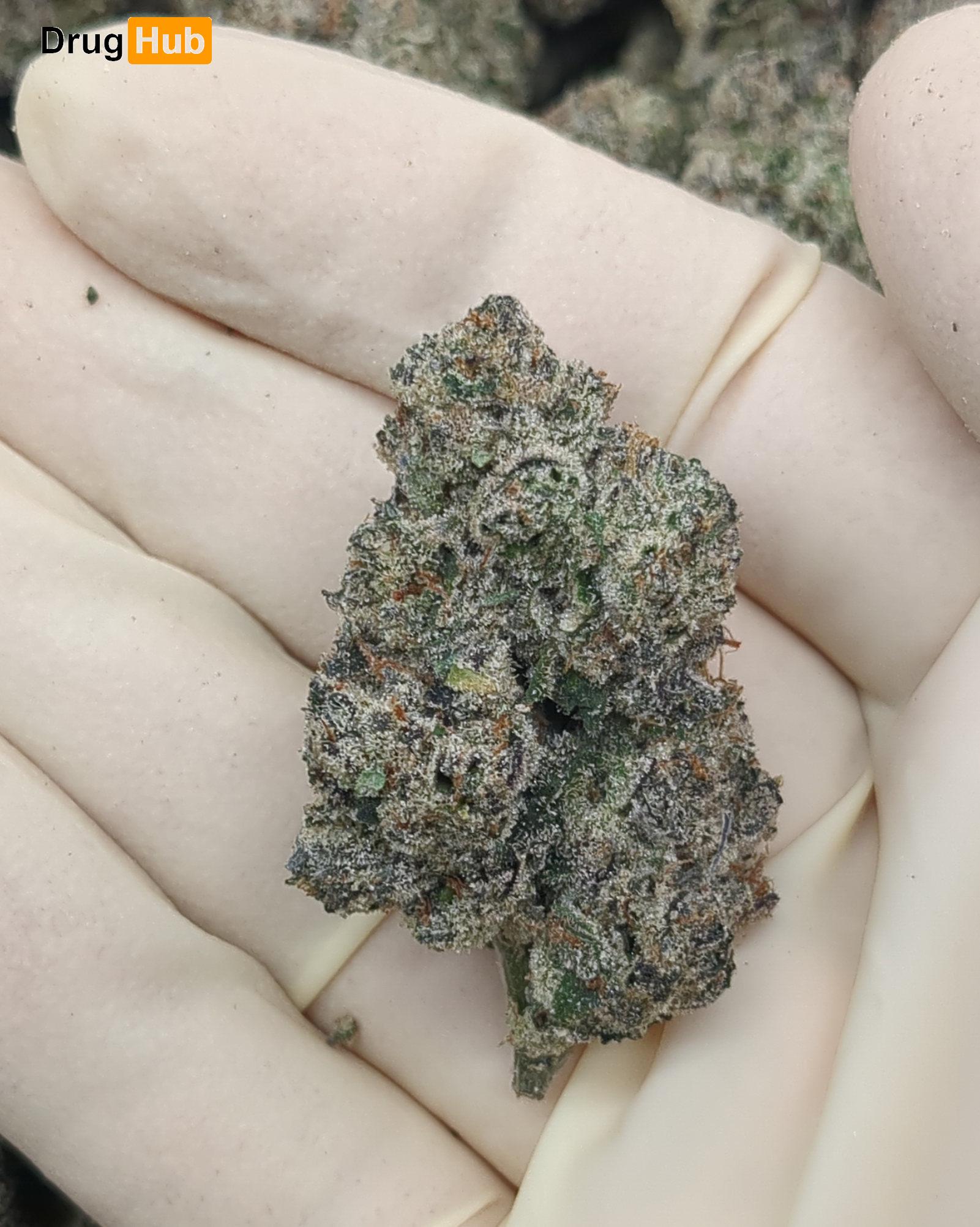 Sweet Tea Runtz - Indoor Grown - 28g