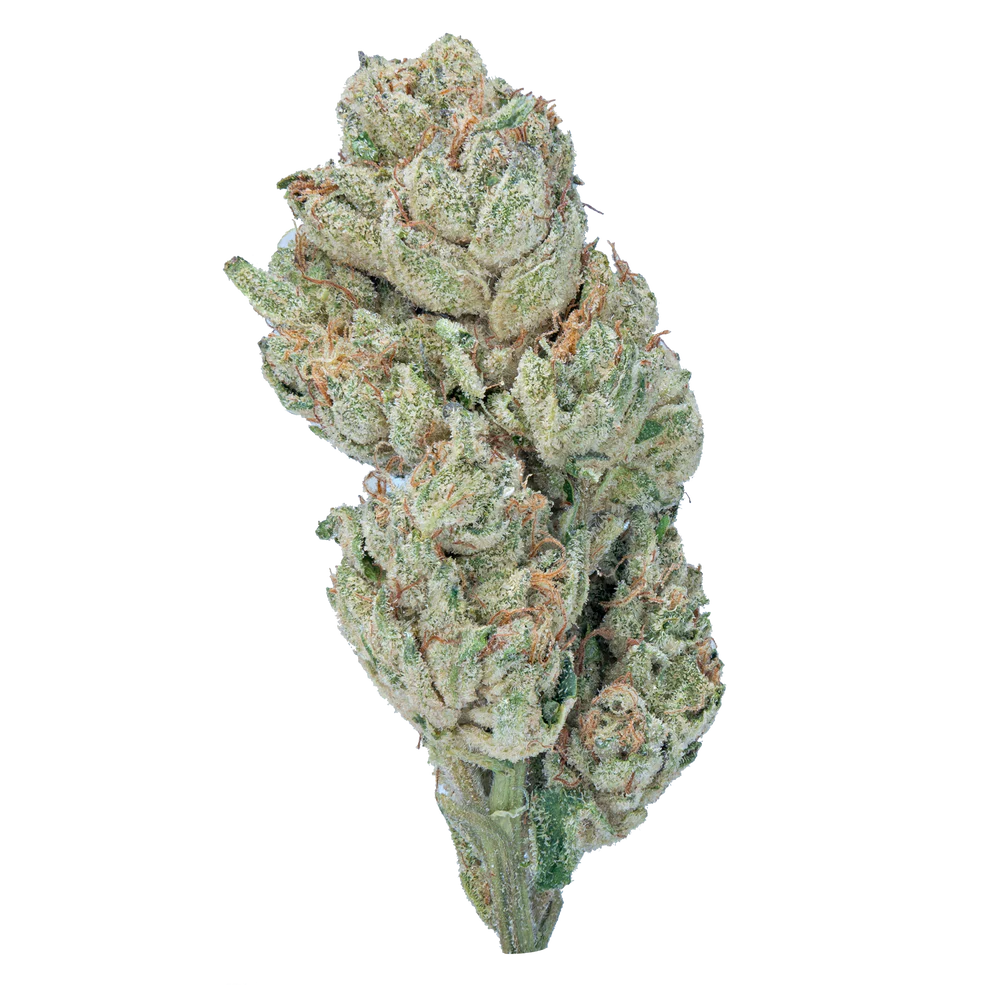 Lil Baby Wedding Crasher THC-A 3.5g