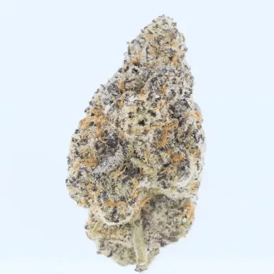 Lil Baby Sour Diesel THC-A 3.5g